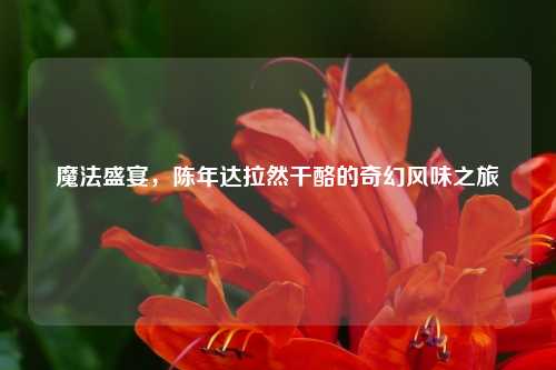 魔法盛宴，陈年达拉然干酪的奇幻风味之旅