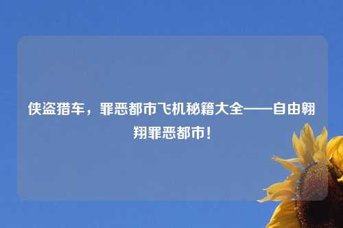 侠盗猎车，罪恶都市飞机秘籍大全——自由翱翔罪恶都市！