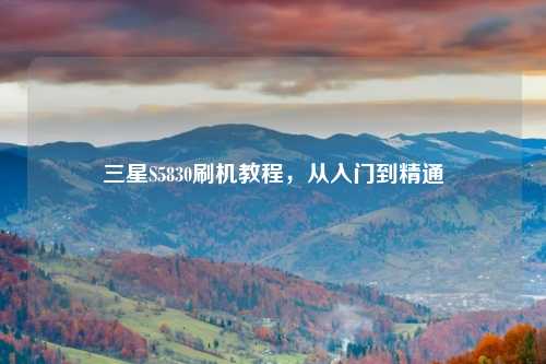 三星S5830刷机教程，从入门到精通