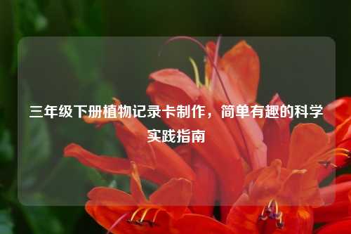 三年级下册植物记录卡制作,简单有趣的科学实践指南
