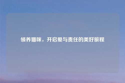 领养猫咪,开启爱与责任的美好旅程