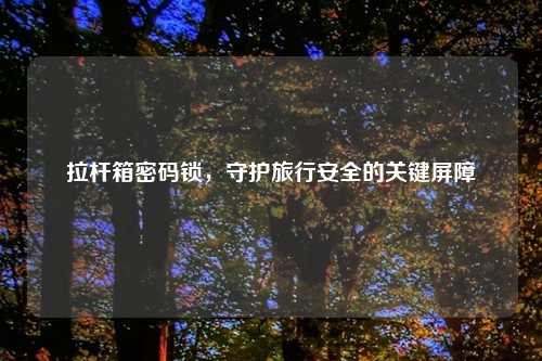 拉杆箱密码锁，守护旅行安全的关键屏障