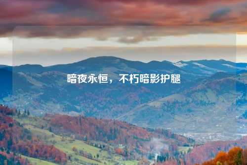 暗夜永恒，不朽暗影护腿