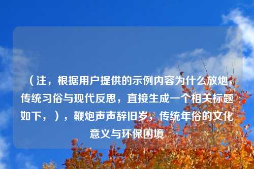（注，根据用户提供的示例内容为什么放炮，传统习俗与现代反思，直接生成一个相关标题如下，），鞭炮声声辞旧岁，传统年俗的文化意义与环保困境