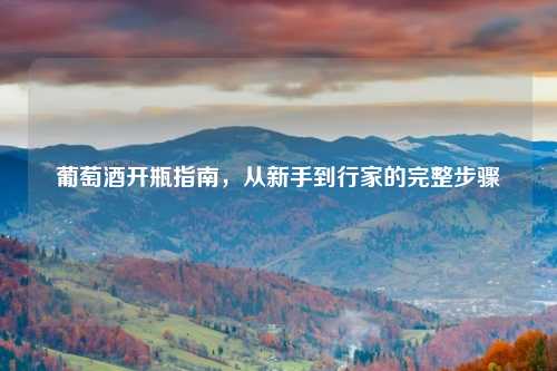 葡萄酒开瓶指南，从新手到行家的完整步骤