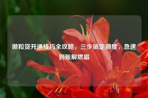 微粒贷开通技巧全攻略,三步搞定额度,急速到账解燃眉