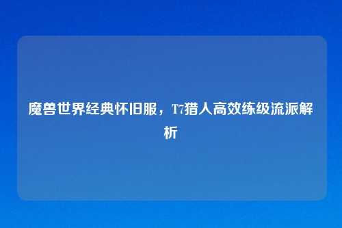 魔兽世界经典怀旧服，T7猎人高效练级流派解析