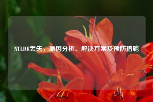 NTLDR丢失，原因分析、解决方案及预防措施