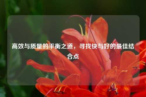 高效与质量的平衡之道，寻找快与好的最佳结合点